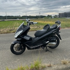 HONDA PCX125黒　JF56の画像