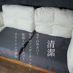 ☑️売約済　首都圏送無料〜ウニコ フェザークッション　無垢　天然木枠　極上ナチュラル　ソファの画像