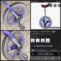 ブリヂストン(BRIDGESTONE) スケアクロウ 子供用 一輪車の画像