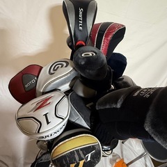 SRIXSON YAMAHA IGNIO YAMAHA ドライバーの画像