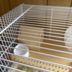 ハムスターゲージ未使用　組立済みの画像