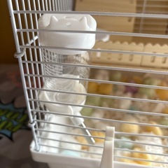 ハムスターゲージ未使用　組立済みの画像