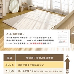 パークロン　プレイマットの画像