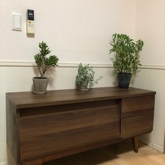 テレビボードの画像