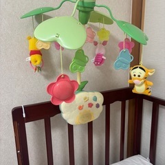 プーメリー
の画像