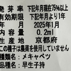 早生品種　芽キャベツ　の　苗　25株の画像