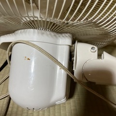 Forest Life 扇風機の画像