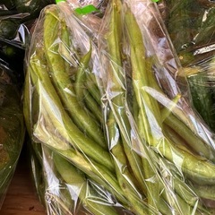 今日のみきゅうり5袋ご購入につき1袋サービス10袋ご購入につき、3袋サービス　朝取立て　野菜の画像