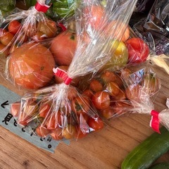 今日のみきゅうり5袋ご購入につき1袋サービス10袋ご購入につき、3袋サービス　朝取立て　野菜の画像