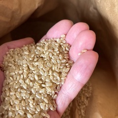 R7年度新米　農家のお米　の画像