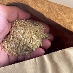 R7年度新米　農家のお米　数量限定の画像