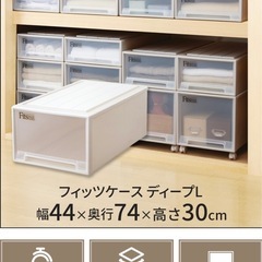 【美品‼️定価6580円‼️】2点セット！ 天馬 TENMA フィッツケース ディープL  衣装ケース プラケース プラスチックケース し収納ケースの画像