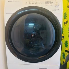 【10/21最終お渡し日】シャープ 洗濯機 2020年製 ドラム式洗濯機の画像