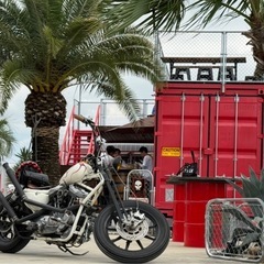 ハーレーエボスポーツスター 1200   の画像