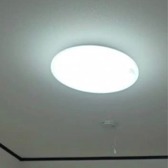 電球の画像