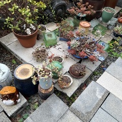 ブロック　　必要な方いませんかの画像