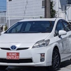たいやの画像