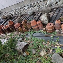 中古の植木鉢 多数 必要な数だけどうぞ 引き取り限定の画像
