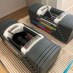 可変式　ブロックダンベル　90ポンド　41kg ２個セット　TOP FILMの画像