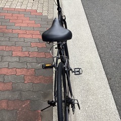 🚴サーフィーの画像