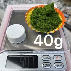 ミジンコウキクサ 20g  10gごとに+100円で追加可能 1回の購入は40gまでの画像