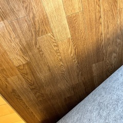 交渉中 電気カーペット2畳　左右切り替えの画像