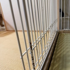 ペットゲージの画像