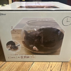 にゃんこの金魚鉢の画像