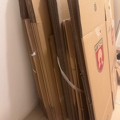 引っ越し用ダンボール　段ボールの画像