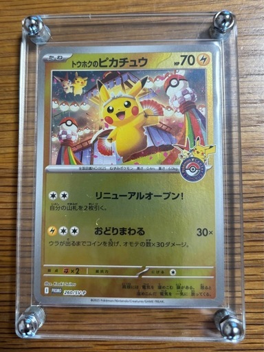 トウホクのピカチュウ