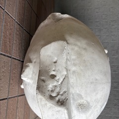 青年マルス　　石膏像　　首像　デッサンの画像