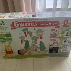 プーメリーの画像