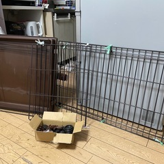 犬ゲージの画像