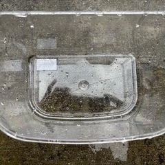 虫かご7個と仕切り板の画像