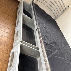 パイプベットの画像