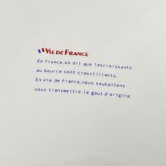 【差し上げます】 VIE DE FRANCE　ヴィドフランス　大皿　プレート　直径約24.5cmの画像