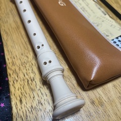 AULOS ジャーマン式ソプラノリコーダー 302A 小学校の画像