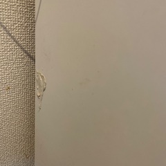 IKEA 食器棚(無料で譲ります)の画像