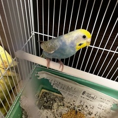 問い合わせが多い為、わかりやすくする為、再投稿