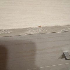 ニトリ チェスト　タンス　の画像