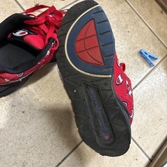 チャンピオンスニーカーの画像