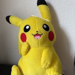 ✨ポケモンぬいぐるみセット（ピカチュウ・ライチュウ）✨の画像