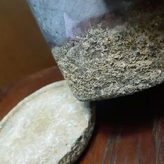 植木鉢　陶器　フラワーポットの画像