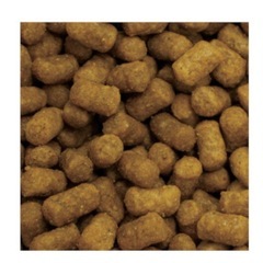キャットフード 療法食 イースター Phケアプラスステージ 400gの画像