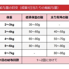 キャットフード 療法食 イースター Phケアプラスステージ 400gの画像