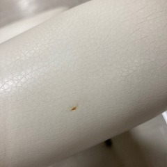 取りに来れる方限定！PoltronaFrau（ポルトローナ・フラウ）の画像