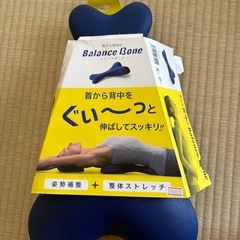バランスボーン　整体ストレッチの画像