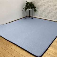 未使用☆昭和西川 冷感ラグの画像
