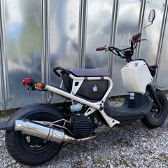 ホンダ　ズーマー　白　HONDA ZOOMERの画像