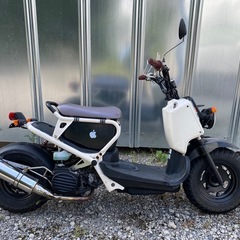 ホンダ　ズーマー　白　HONDA ZOOMERの画像